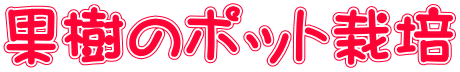 果樹のポット栽培