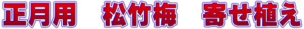 正月用　松竹梅　寄せ植え
