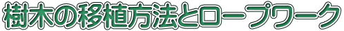 樹木の移植方法とロープワーク