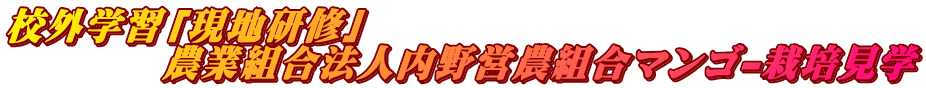 校外学習「現地研修」 　　　　農業組合法人内野営農組合マンゴ-栽培見学