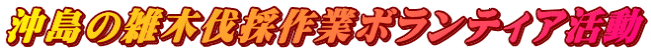 沖島の雑木伐採作業ボランティア活動