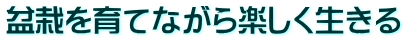 盆栽を育てながら楽しく生きる