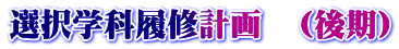 選択学科履修計画　（後期）