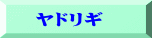 　ヤドリギ