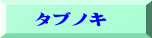 　タブノキ