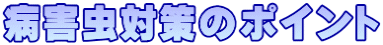 病害虫対策のポイント