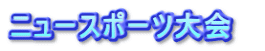 ニュースポーツ大会　